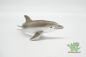 Preview: Schleich Delfin 14554